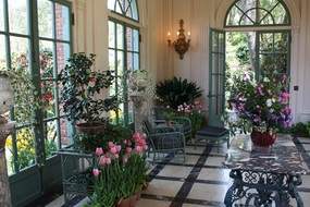 House plants